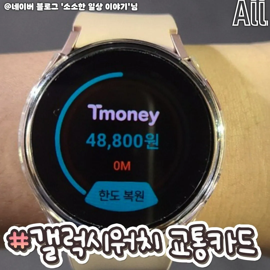 나와 너만 없는특이한 교통카드 모음 | 인스티즈