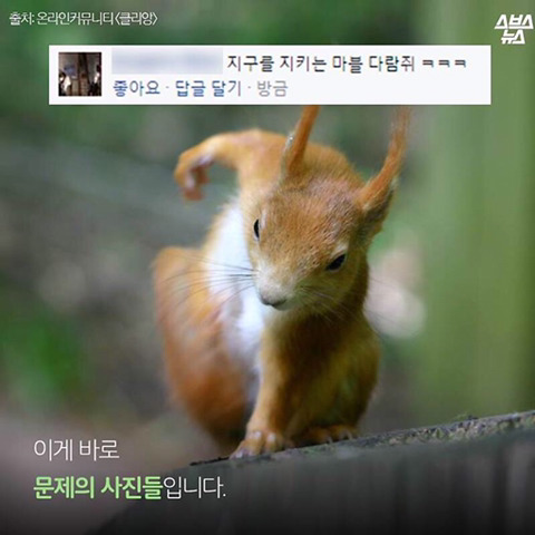 청설모 착지의 진실 | 인스티즈