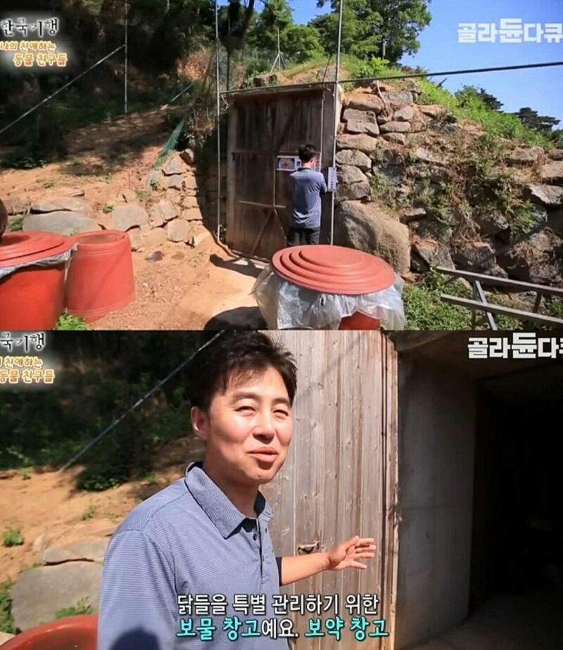 원래는 토종닭 백숙집을 하려고 했다.jpg | 인스티즈