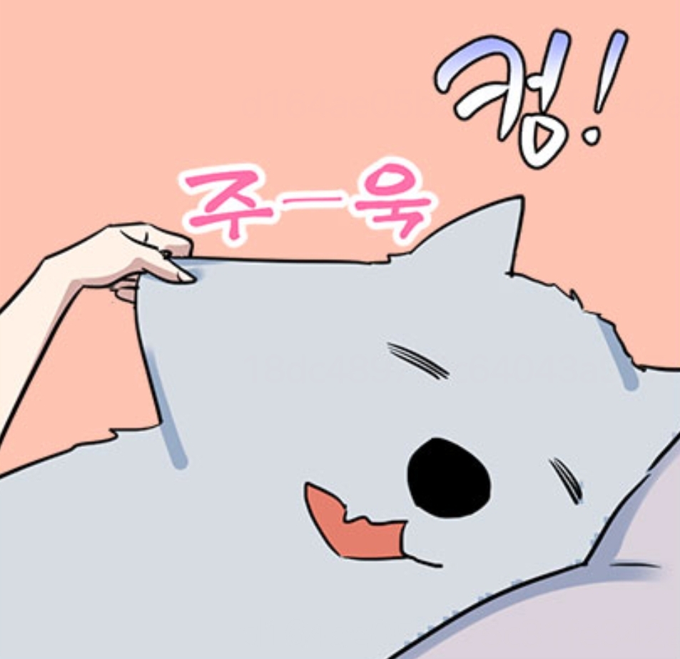 늑대일 땐 목줄 매고 두 발로 산책도 하는 real 반려남주🐺 | 인스티즈