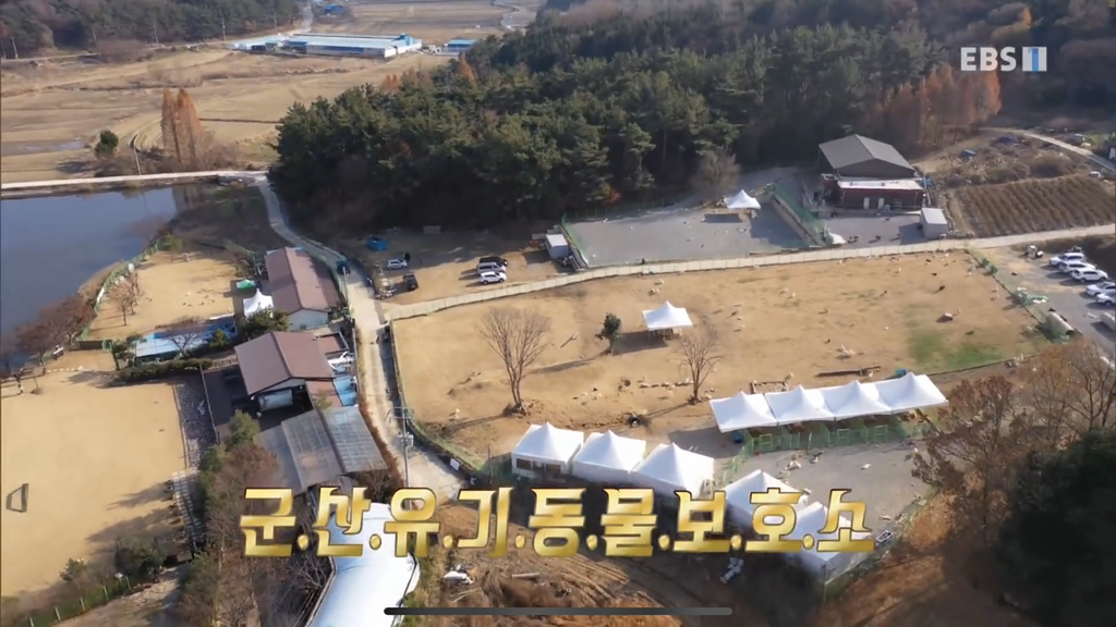 [세나개] 유기견 보호소 촬영 중 유기견 입양한 제작진 (+ 근황) | 인스티즈