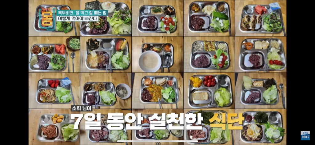 [EBS] 귀하신몸 - 복부비만 잘 먹고 잘 빼는 법 (16일동안 허리둘레 22cm 감소) | 인스티즈