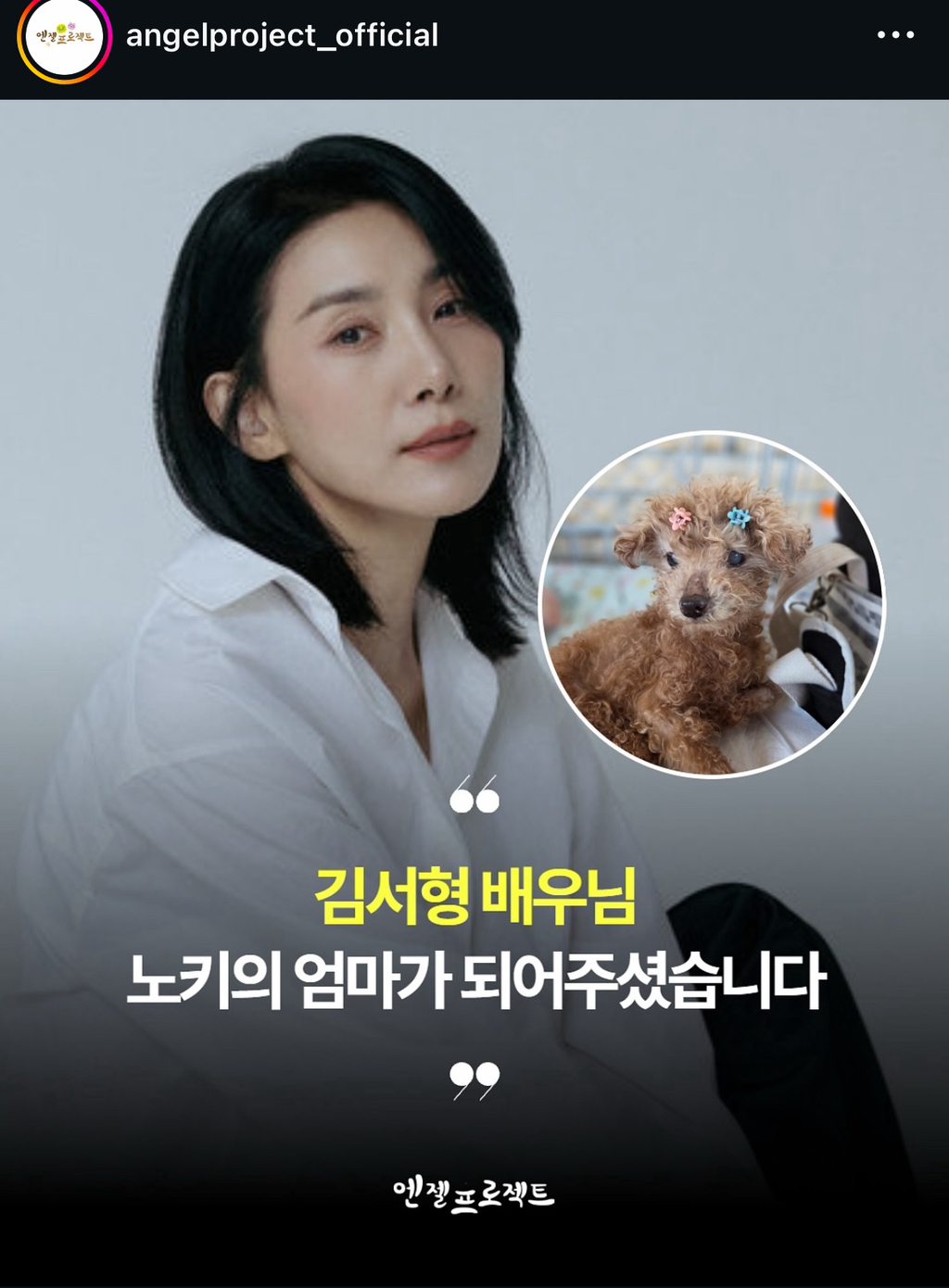 나이많은 유기견 '노키'를 입양한 배우 김서형 | 인스티즈