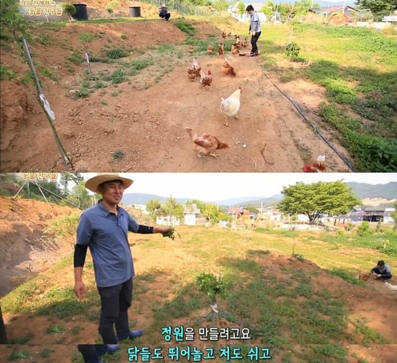 원래는 토종닭 백숙집을 하려고 했다.jpg | 인스티즈