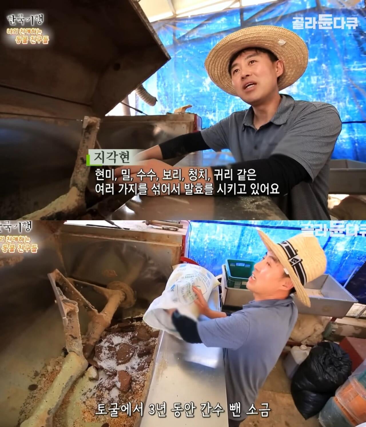 백숙집 차리려고 닭 키우기 시작한 부부의 최후 | 인스티즈