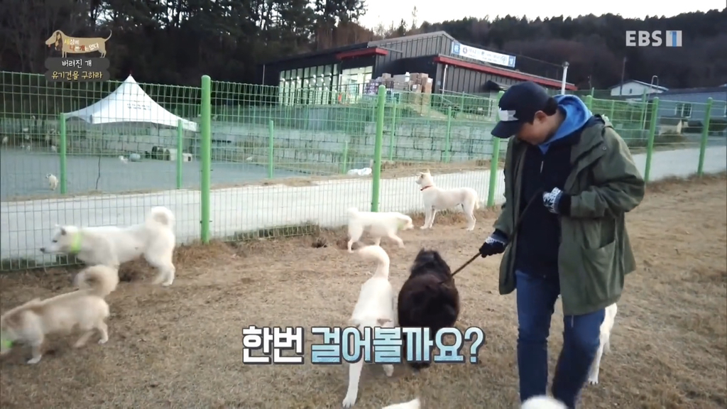 [세나개] 유기견 보호소 촬영 중 유기견 입양한 제작진 (+ 근황) | 인스티즈