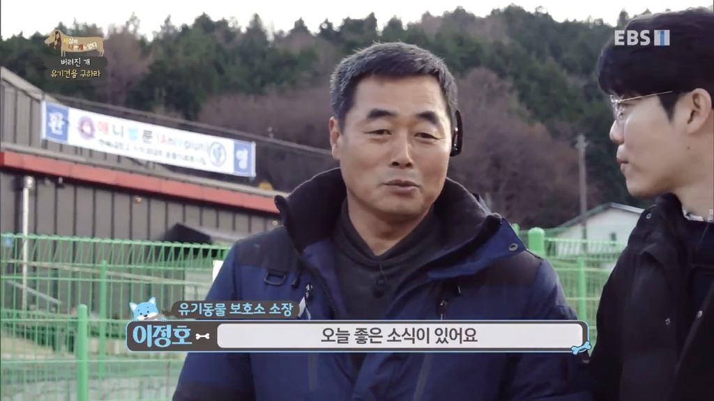 [세나개] 유기견 보호소 촬영 중 유기견 입양한 제작진 (+ 근황) | 인스티즈