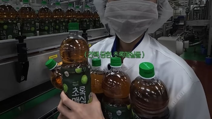 드디어 초록매실 공장에 초청받은 쯔양 | 인스티즈