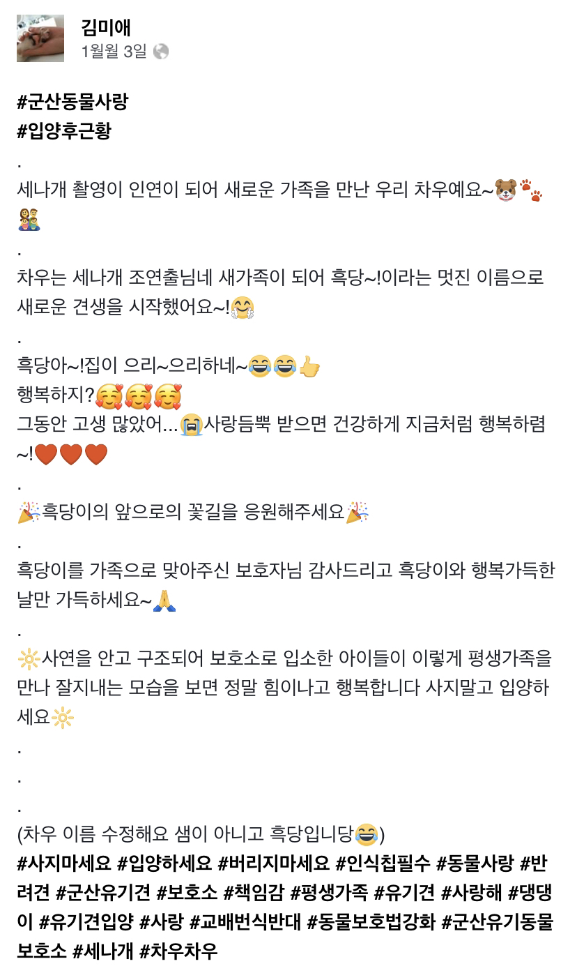 [세나개] 유기견 보호소 촬영 중 유기견 입양한 제작진 (+ 근황) | 인스티즈