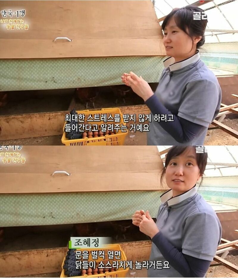 원래는 토종닭 백숙집을 하려고 했다.jpg | 인스티즈