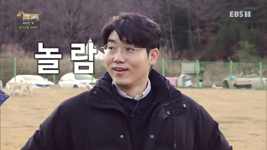 [세나개] 유기견 보호소 촬영 중 유기견 입양한 제작진 (+ 근황) | 인스티즈