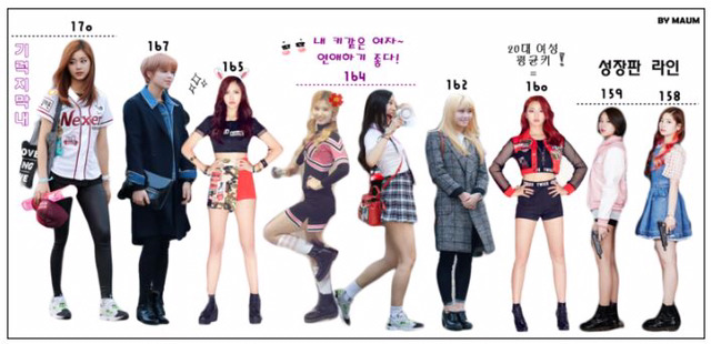 의외로 키가 작은 트와이스 멤버 (움짤) | 인스티즈