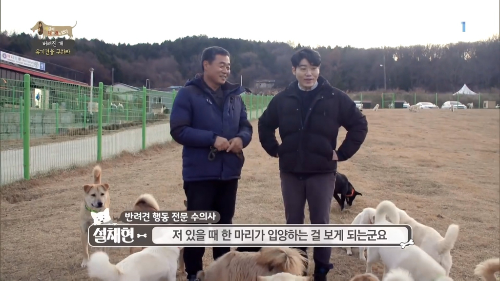 [세나개] 유기견 보호소 촬영 중 유기견 입양한 제작진 (+ 근황) | 인스티즈