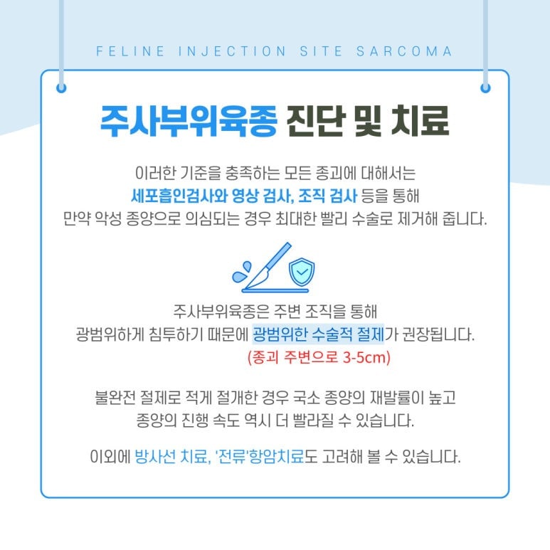 고양이 목 뒤에 주사 놓으면 안되는 이유 | 인스티즈
