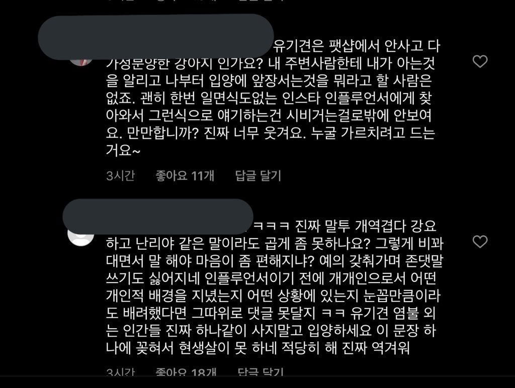 [공익목적] 하준맘 비글부부 펫샵 소비에 반대하는 댓글 달았다가 사이버 불링 당하고 아직 사과 듣지 못한 후기 | 인스티즈