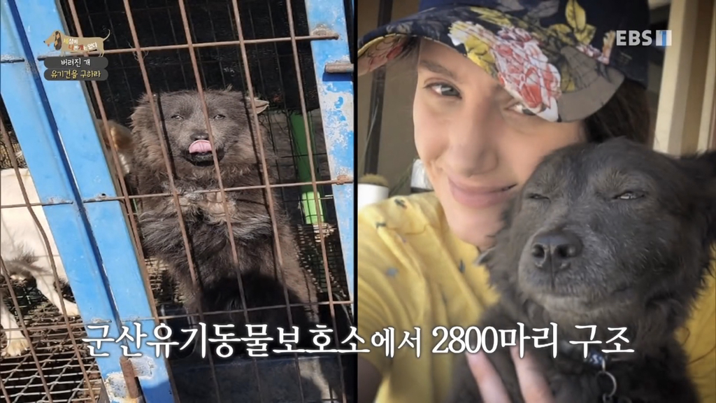 [세나개] 유기견 보호소 촬영 중 유기견 입양한 제작진 (+ 근황) | 인스티즈