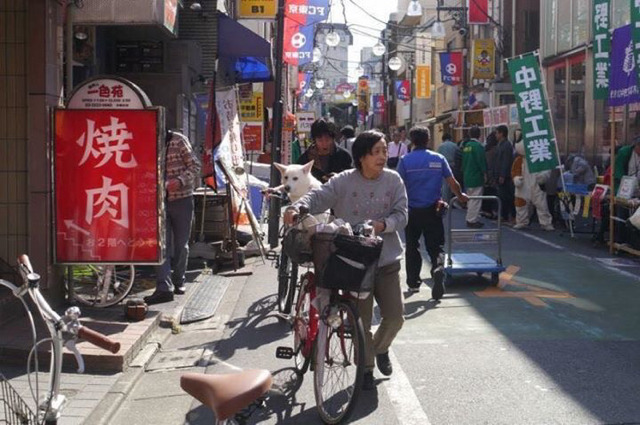 길 가다가 전 여친을 봤을 때.. | 인스티즈