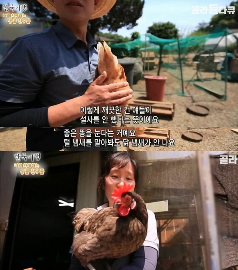 원래는 토종닭 백숙집을 하려고 했다.jpg | 인스티즈