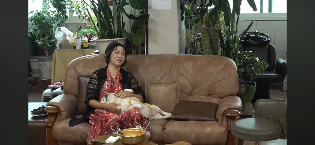 산책로 화장실에 유기됐던 강아지 근황 | 인스티즈