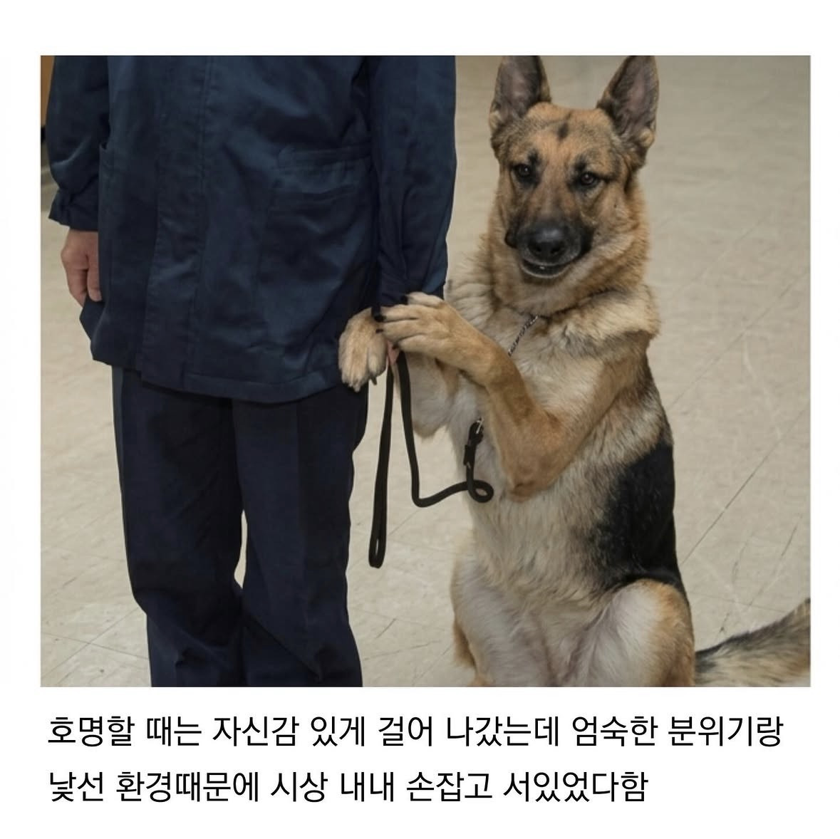 아빠 나 무셔.jpg | 인스티즈
