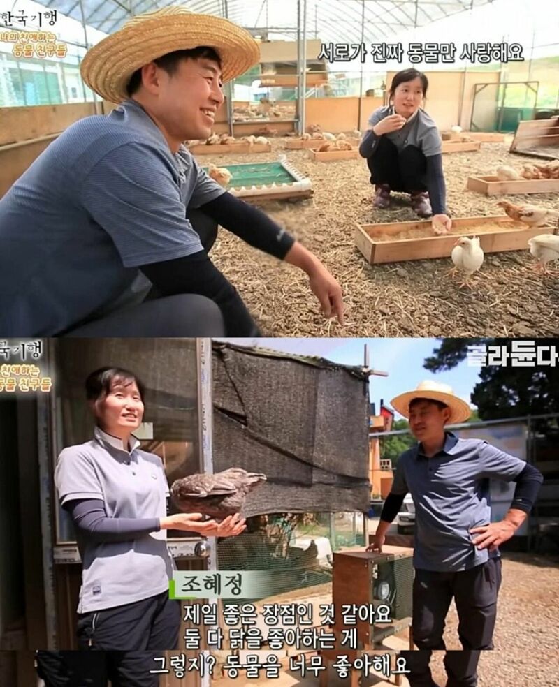 원래는 토종닭 백숙집을 하려고 했다.jpg | 인스티즈