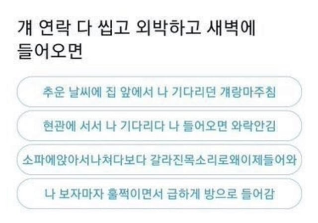 걔 연락 다 씹고 외박하고 새벽에 들어왔을때 | 인스티즈