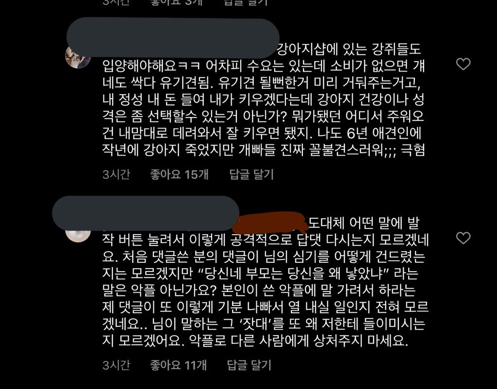 [공익목적] 하준맘 비글부부 펫샵 소비에 반대하는 댓글 달았다가 사이버 불링 당하고 아직 사과 듣지 못한 후기 | 인스티즈