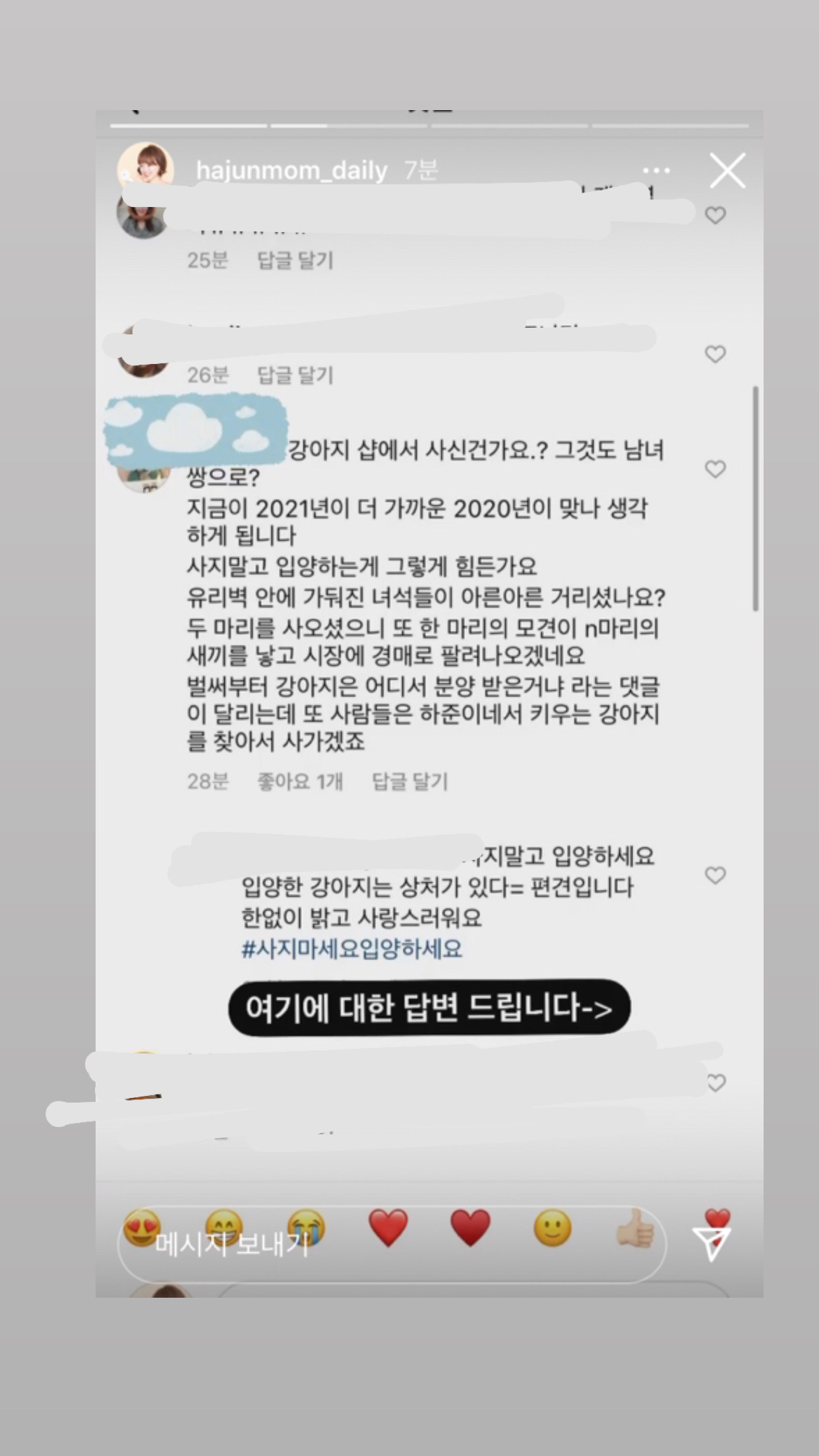 [공익목적] 하준맘 비글부부 펫샵 소비에 반대하는 댓글 달았다가 사이버 불링 당하고 아직 사과 듣지 못한 후기 | 인스티즈