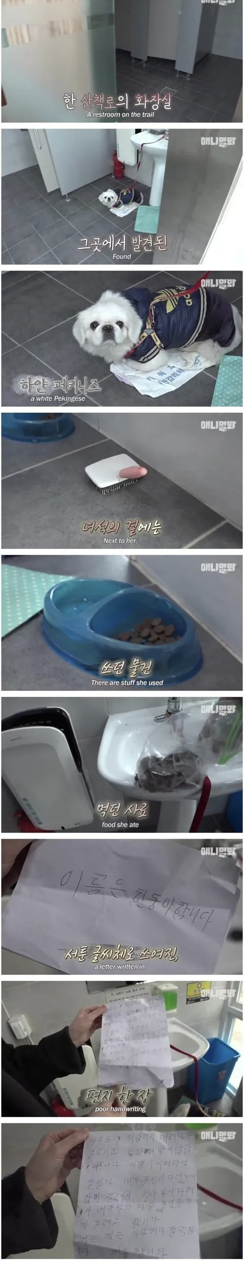 산책로 화장실에 유기됐던 강아지 근황 | 인스티즈