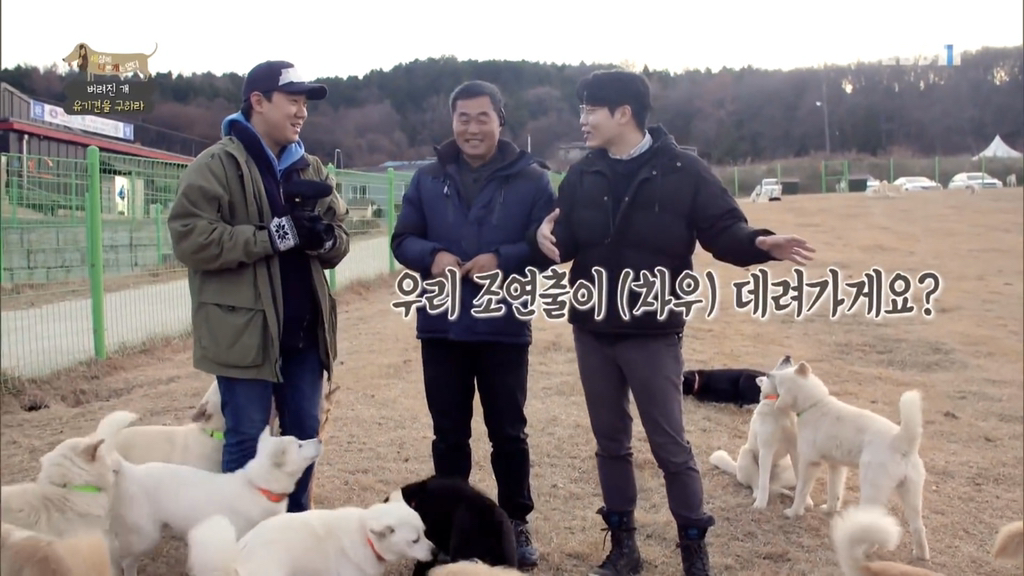 [세나개] 유기견 보호소 촬영 중 유기견 입양한 제작진 (+ 근황) | 인스티즈