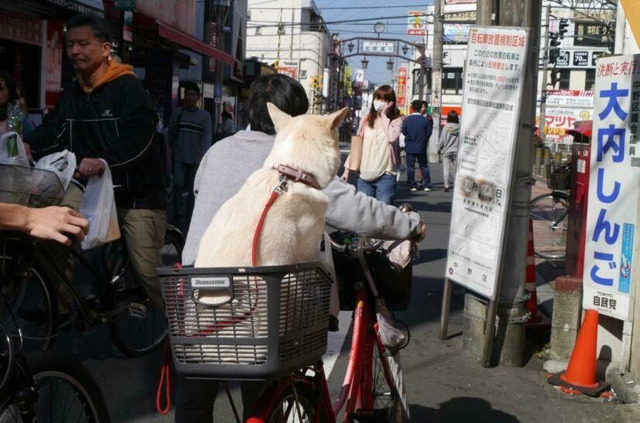 길 가다가 전 여친을 봤을 때.. | 인스티즈