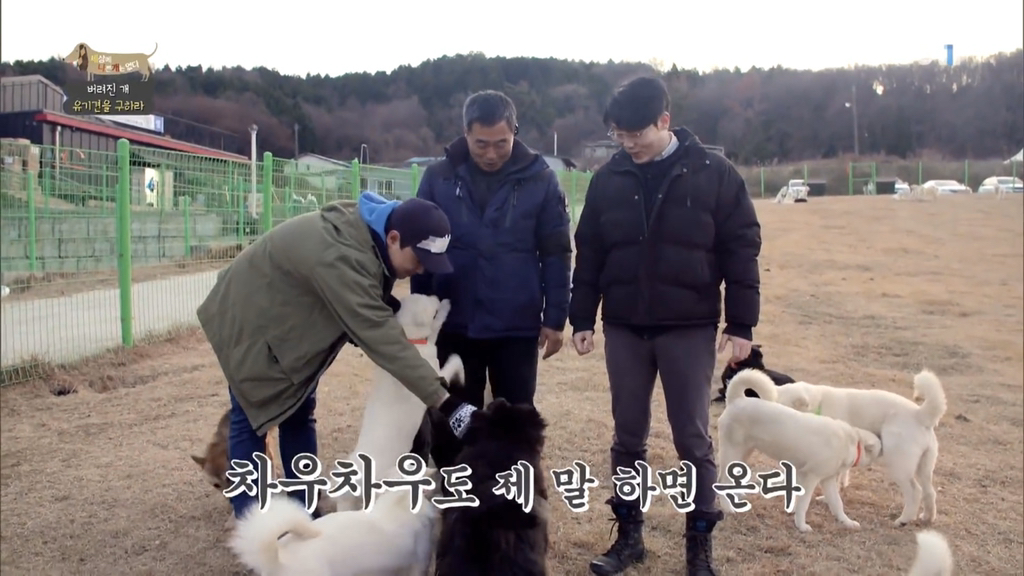 [세나개] 유기견 보호소 촬영 중 유기견 입양한 제작진 (+ 근황) | 인스티즈
