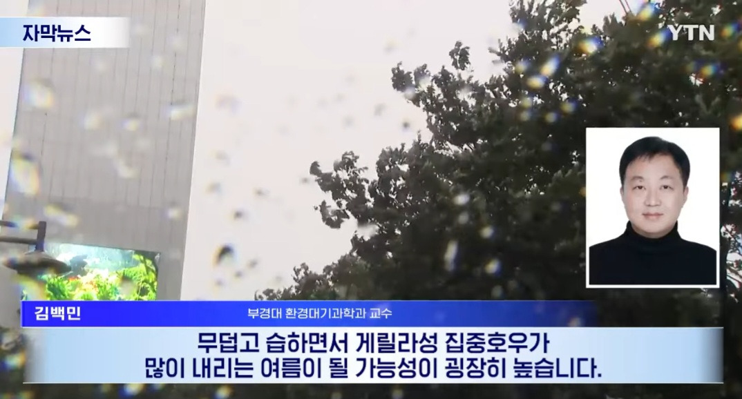 올 여름 "죽음의 습기" | 인스티즈
