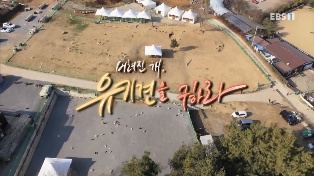 [세나개] 유기견 보호소 촬영 중 유기견 입양한 제작진 (+ 근황) | 인스티즈