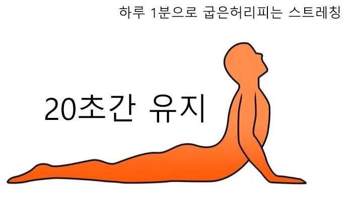 이 글을 읽는 모든 사람들이 오늘중으로 꼭 해야하는것 | 인스티즈