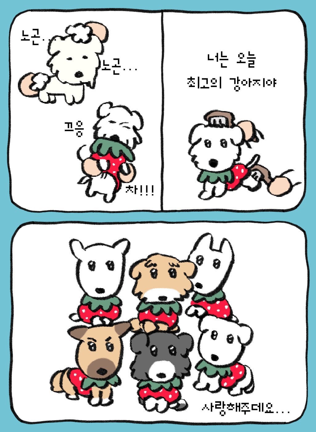딸기축제에 딸기옷 입고 입양 홍보 나온 유기견들.twt 🍓🐶 | 인스티즈
