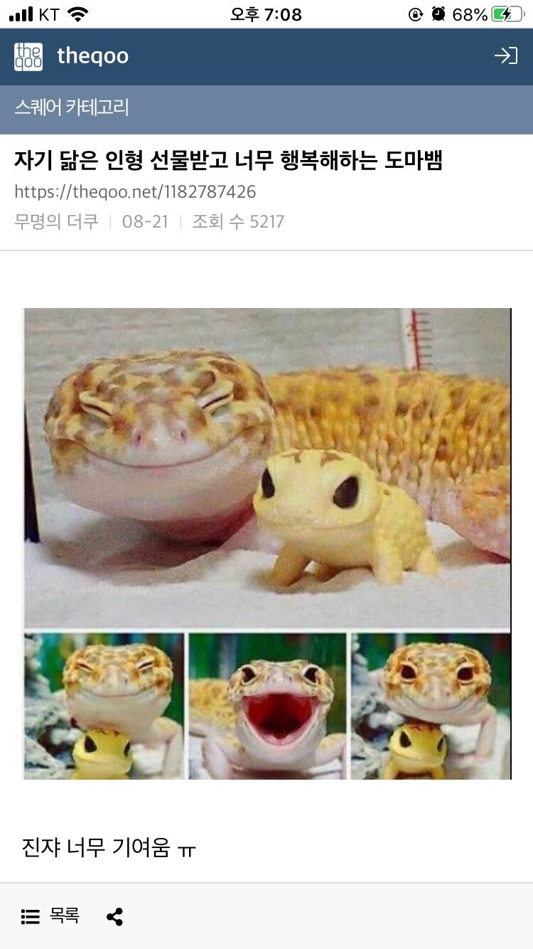 자기 닮은 인형 선물 받고 행복해하는 동물들.jpg | 인스티즈