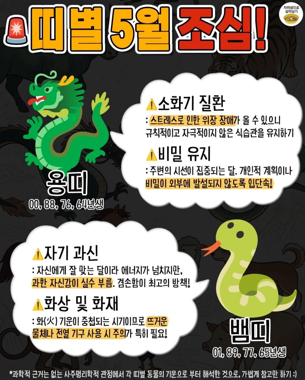 5월부터 띠별로 꼭 조심할것 | 인스티즈
