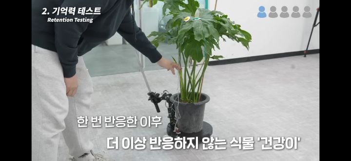 헐. 흥미돋. 식물은 자길 괴롭힌 사람을 기억한대 대박 | 인스티즈
