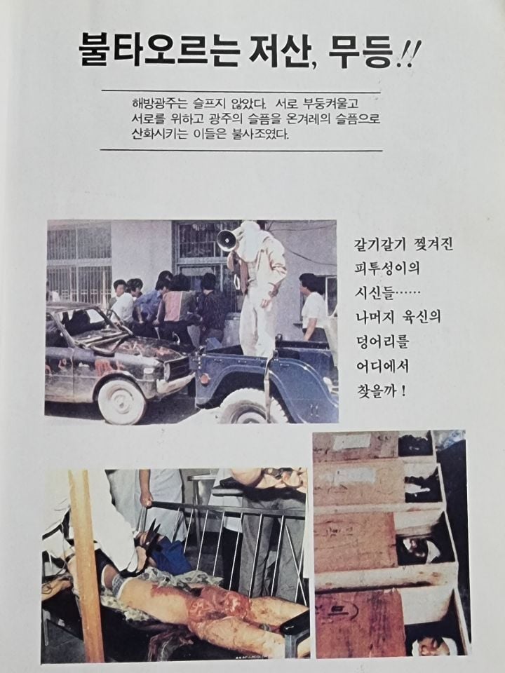 우리집에 책있거든..진짜 잔인해..(사진주의) | 인스티즈