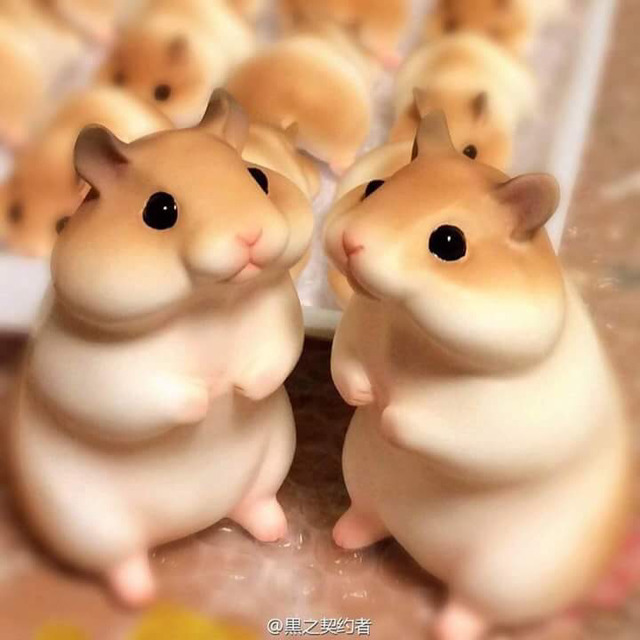 먹음직스러운 햄스터빵 | 인스티즈