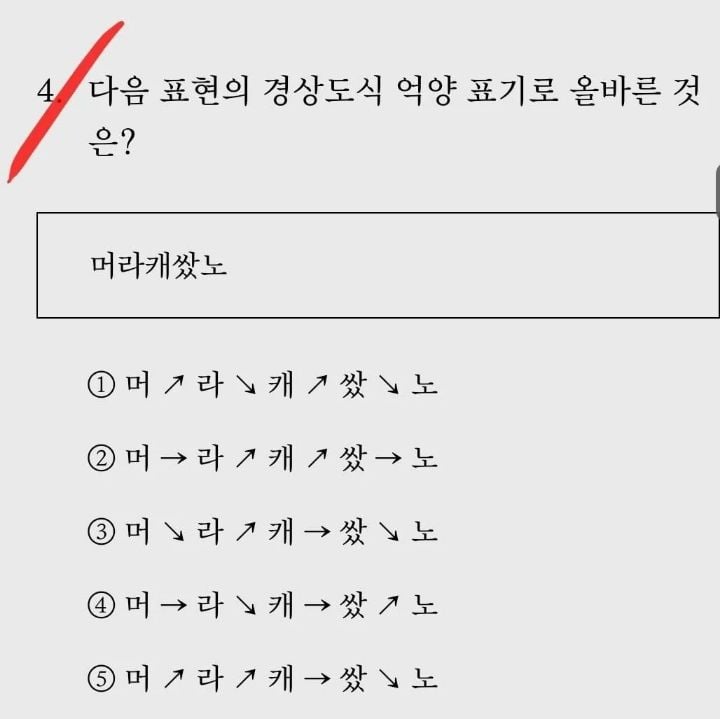 경상도 사투리 능력고사 뭐라캐쌌노 답은? | 인스티즈