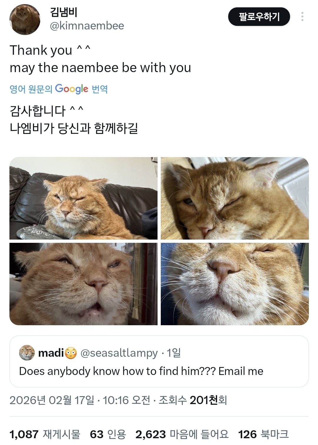 김냄비 사진 보고 놀란 외국인들.twt | 인스티즈