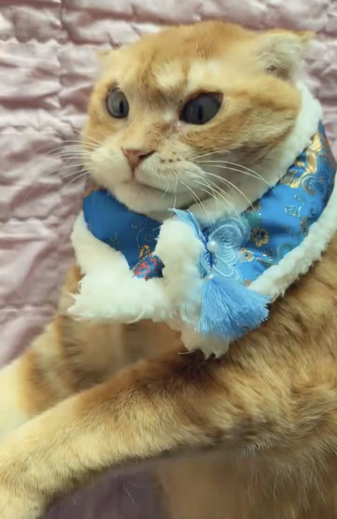 김냄비 사진 보고 놀란 외국인들.twt | 인스티즈