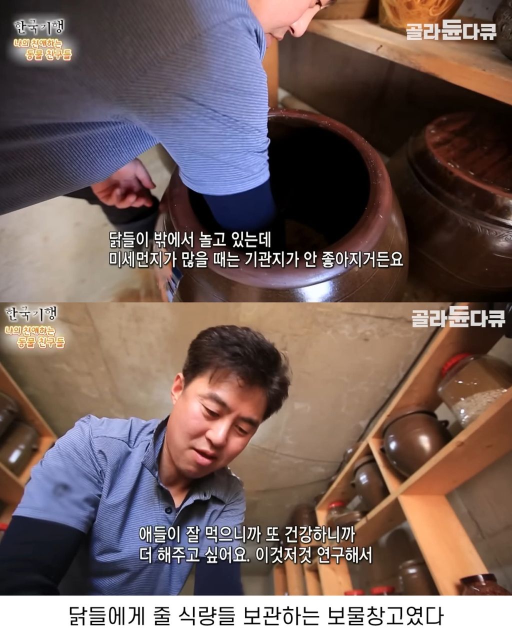 백숙집 하려고 닭 키우다 닭에게 정든 부부 | 인스티즈