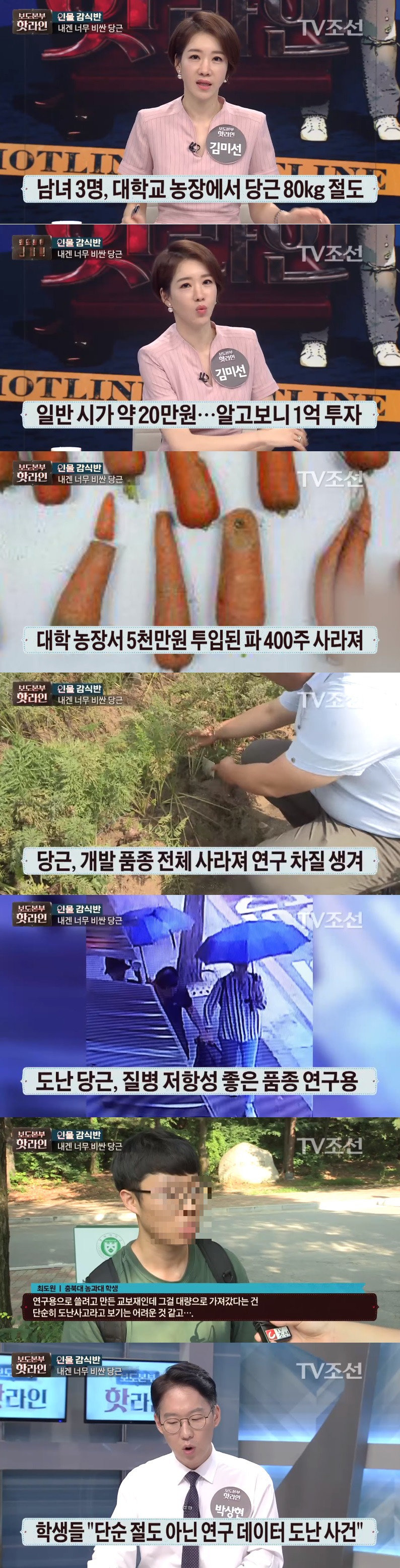 1억짜리 당근 서리 사건의 결말 | 인스티즈