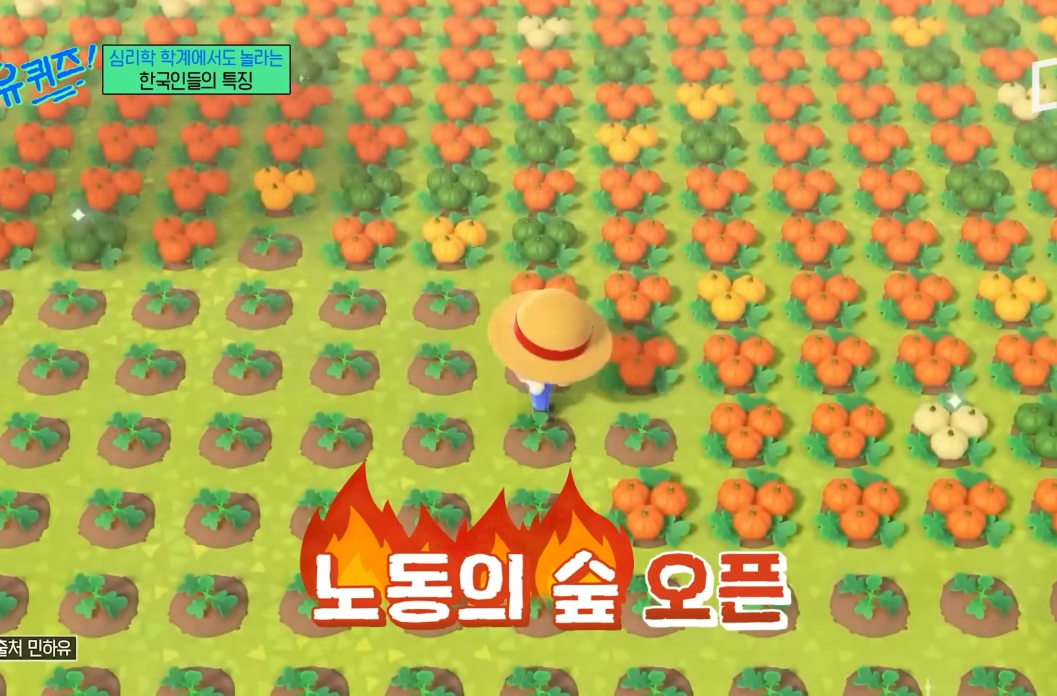 유럽 심리학자들한테 연구대상이라는 한국인들ㅋㅋㅋㅋㅋㅋ.jpg | 인스티즈