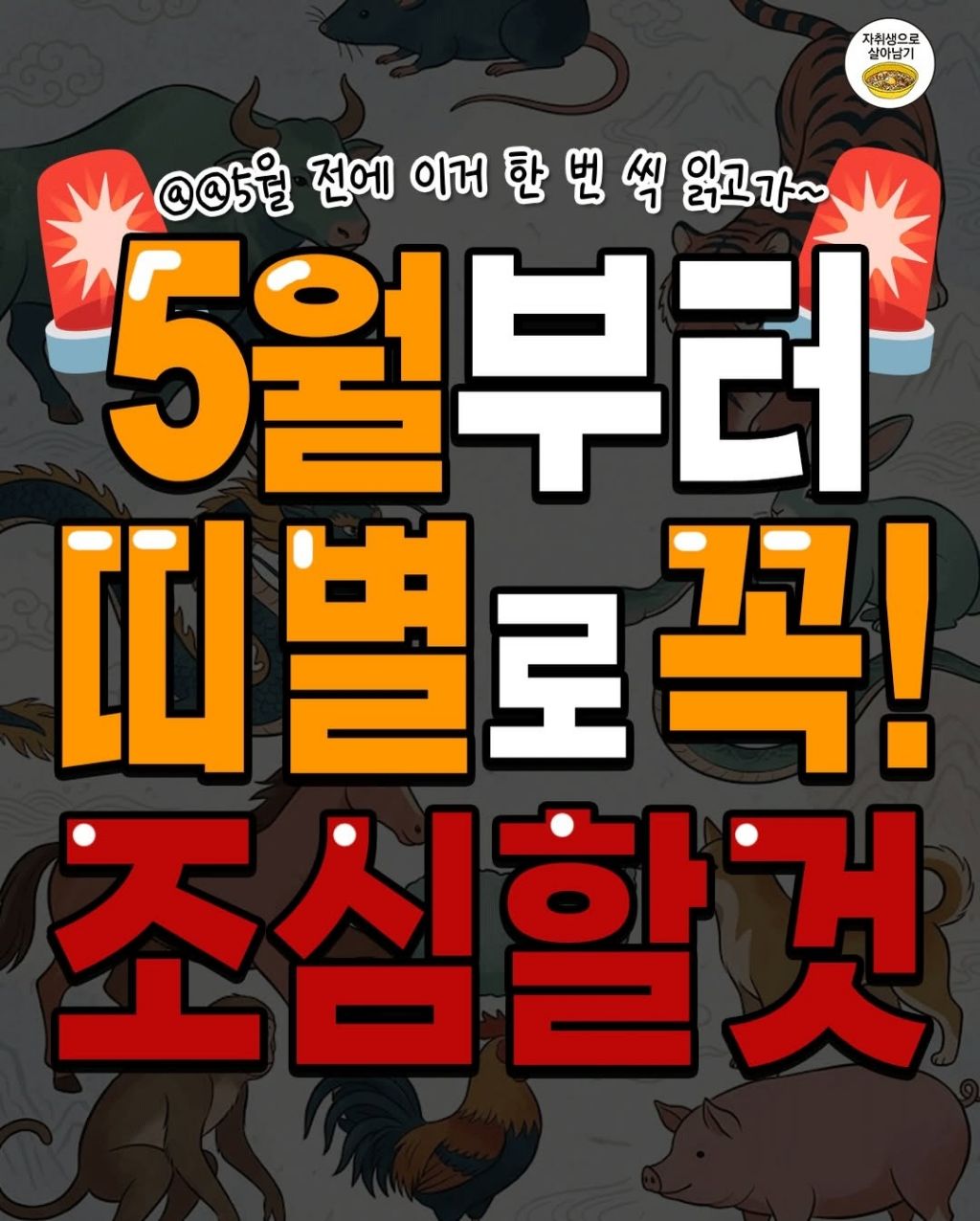 5월부터 띠별로 꼭 조심할것 | 인스티즈