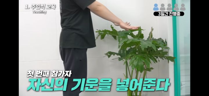 헐. 흥미돋. 식물은 자길 괴롭힌 사람을 기억한대 대박 | 인스티즈