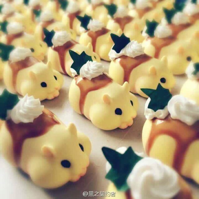 먹음직스러운 햄스터빵 | 인스티즈